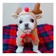 thumbnail image 5 of Sudadera Christmas Moose Ropa Perros Y Gatos Para Mascotas, 5 of 8