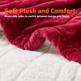 thumbnail image 5 of Degrees of Comfort Sherpa Plush Heated Blanket, Full Size Bed Electric Blankets with 20 Heat Settings Controller | 1-10 Hour Auto Shut Off |Washable, 72" X 84" Red, 5 of 13