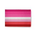 thumbnail image 2 of Simply Daisy 8' x 10' Lesbian Chenille Rug, 2 of 5