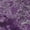 Purple, variant on Chantille ACN565 Beige 10 x 14 Rug