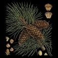 thumbnail image 3 of Vision Studio 15x15 Black Modern Framed Museum Art Print Titled - Dramatic Conifers V, 3 of 5