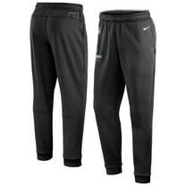 Men's Nike Black Las Vegas Raiders Sideline Logo Performance Pants