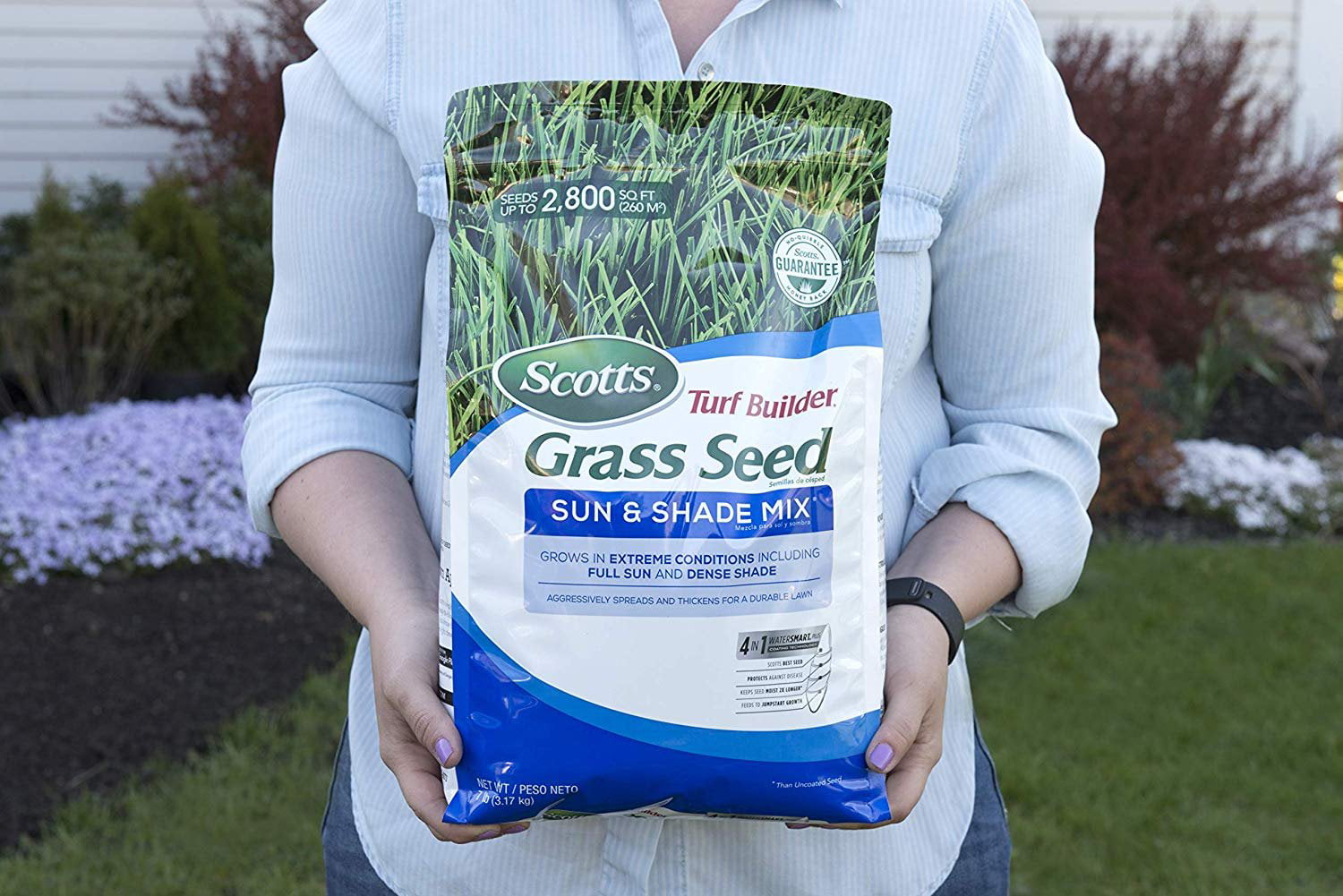 1500 pcs High Quality Lawn grass seed Grass seeds 