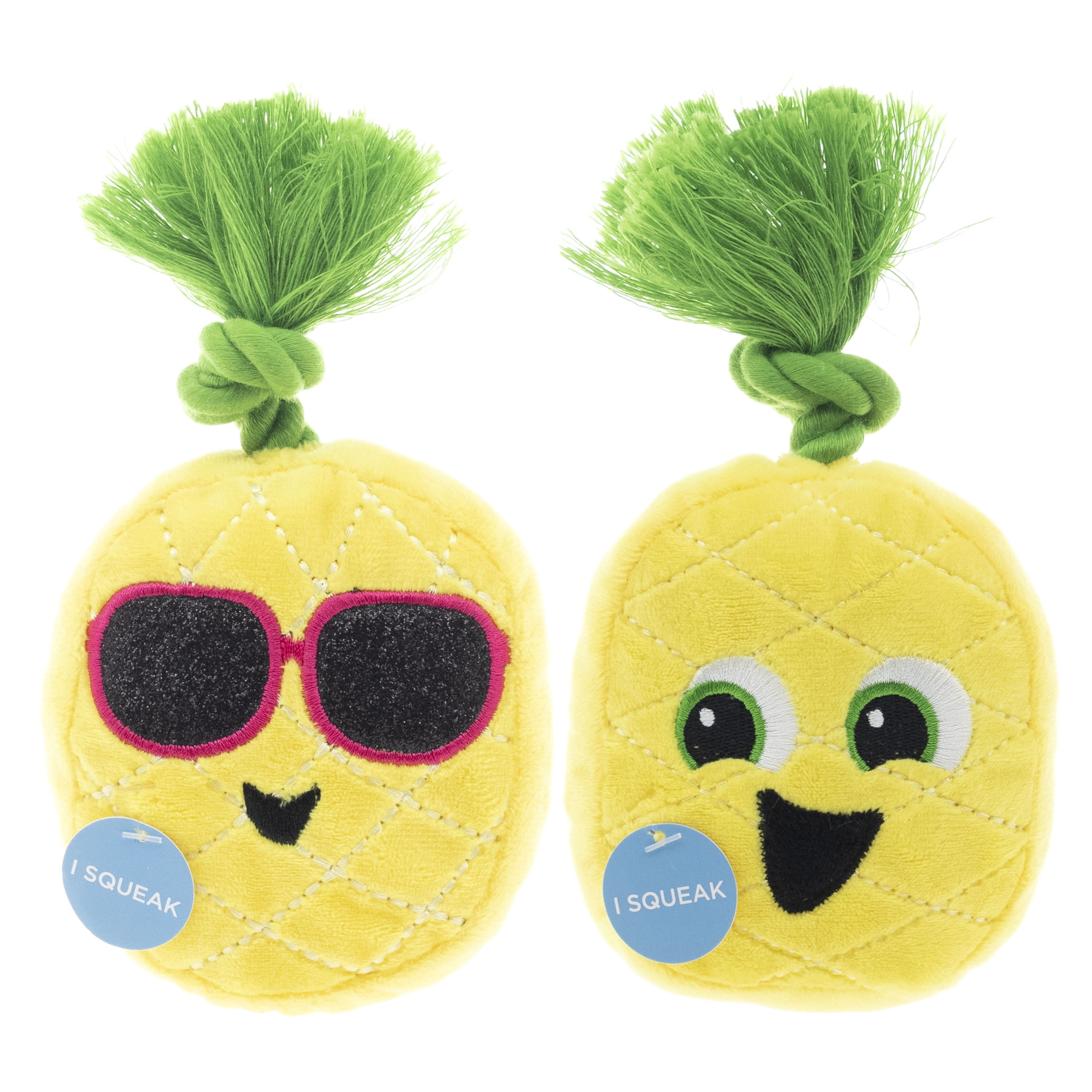 Vibrant Life Summer Dog Toy