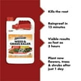 thumbnail image 3 of Spectracide Weed & Grass Killer, Use On Patios, Walkways and Driveways, 1 gal., 3 of 13