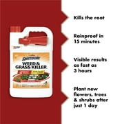 Spectracide Weed & Grass Killer, Use On Patios, Walkways and Driveways, 1 gal.