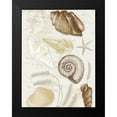 thumbnail image 2 of Grey, Jace 15x18 Black Modern Framed Museum Art Print Titled - Shells Mate, 2 of 5