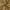 Camel, variant on Archaeo Cotton Blend Button Tab Top Curtain, 40"x84", Cream