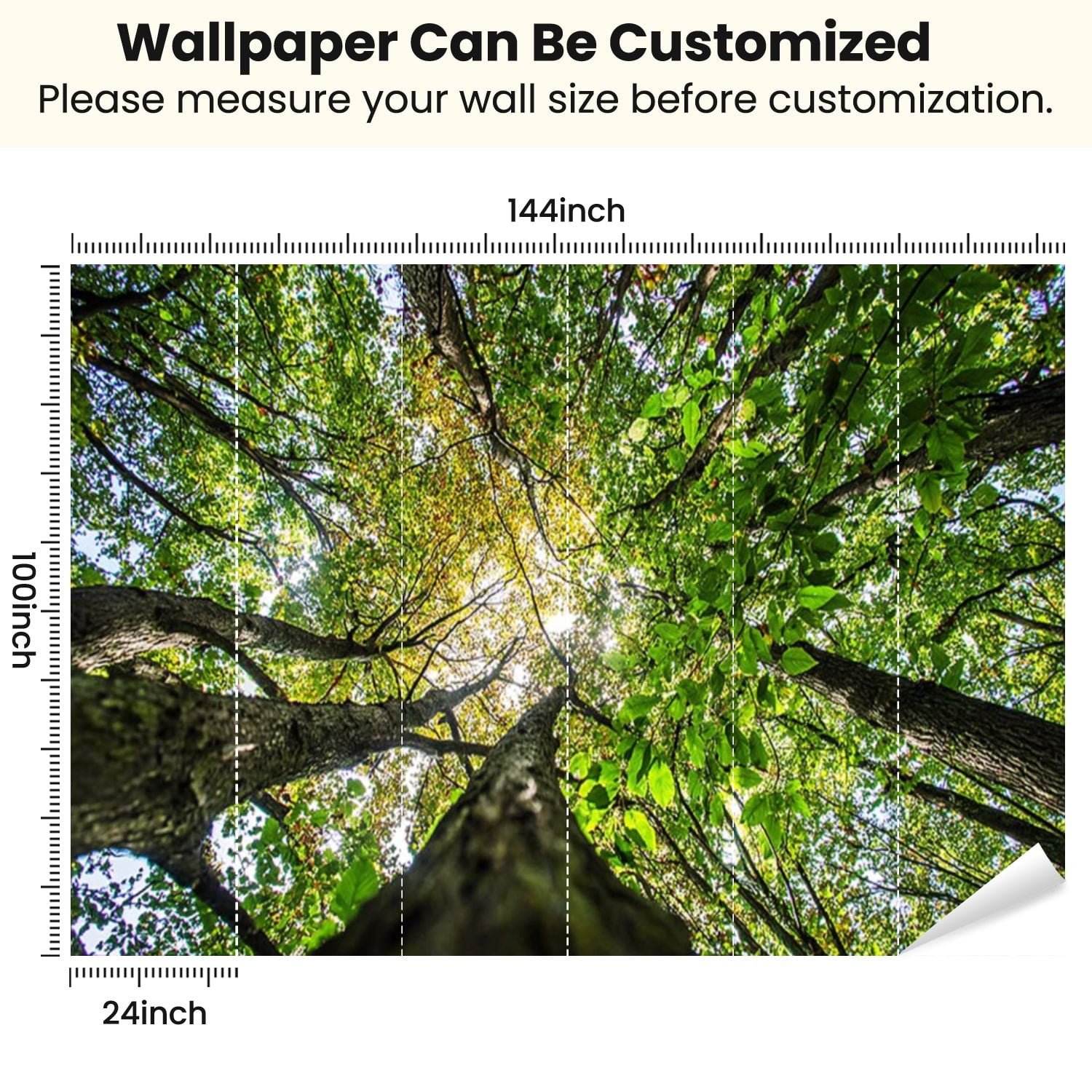 Peel and Stick Wallpaper Trees temperate rain forest Autumn Branch Plant Bright Modern Art Wall Mural Decor Self Adhesive and Removable 100in x 144in
