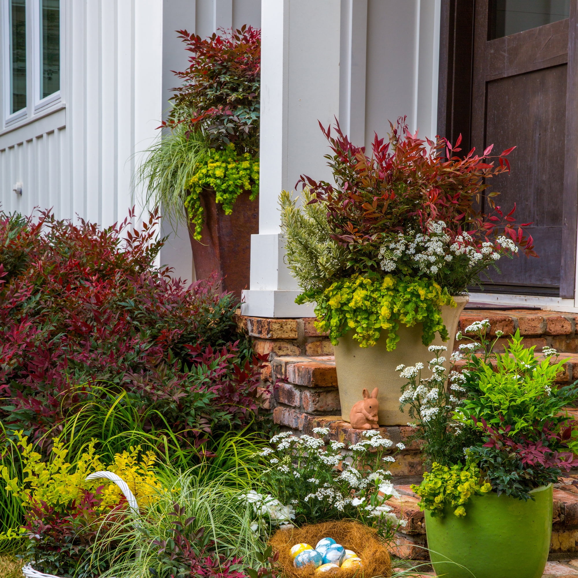 Southern Living Nandina Obsession Live Shrub in 2-Gallon Grower Pot