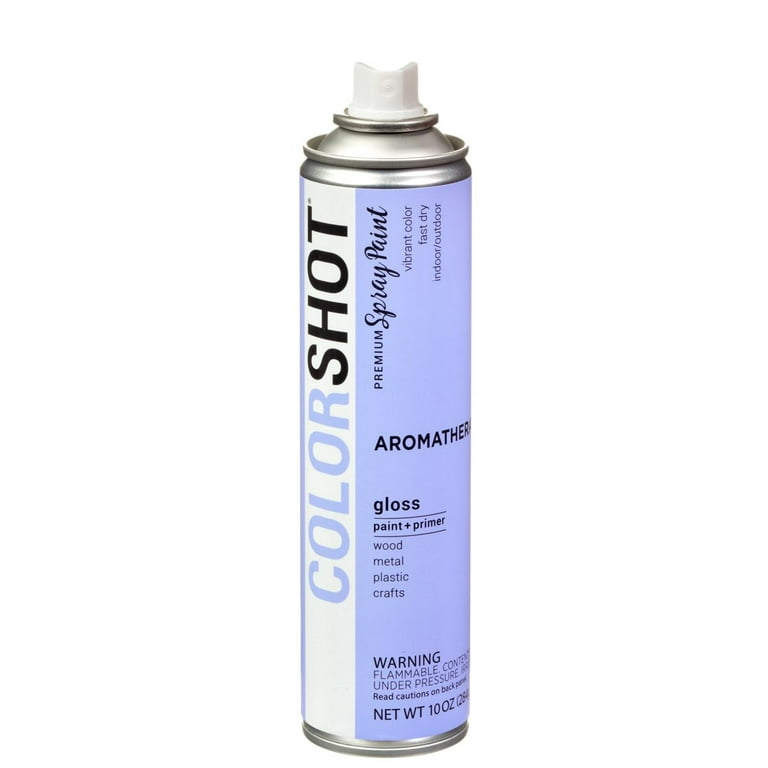 Colorshot Aerosol Spray Sealer 10oz Clear - Gloss