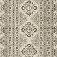 thumbnail image 6 of SAFAVIEH Evoke Maximillian Southwestern Area Rug, Ivory/Silver, 8' x 10', 6 of 6