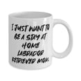 thumbnail image 2 of Gag Labrad Retriever Dog 15oz Mug, I Just Want to Be a, Gifts F Pet Lovers, Present From Friends, Cup F Labrad Retriever Dog, 2 of 2