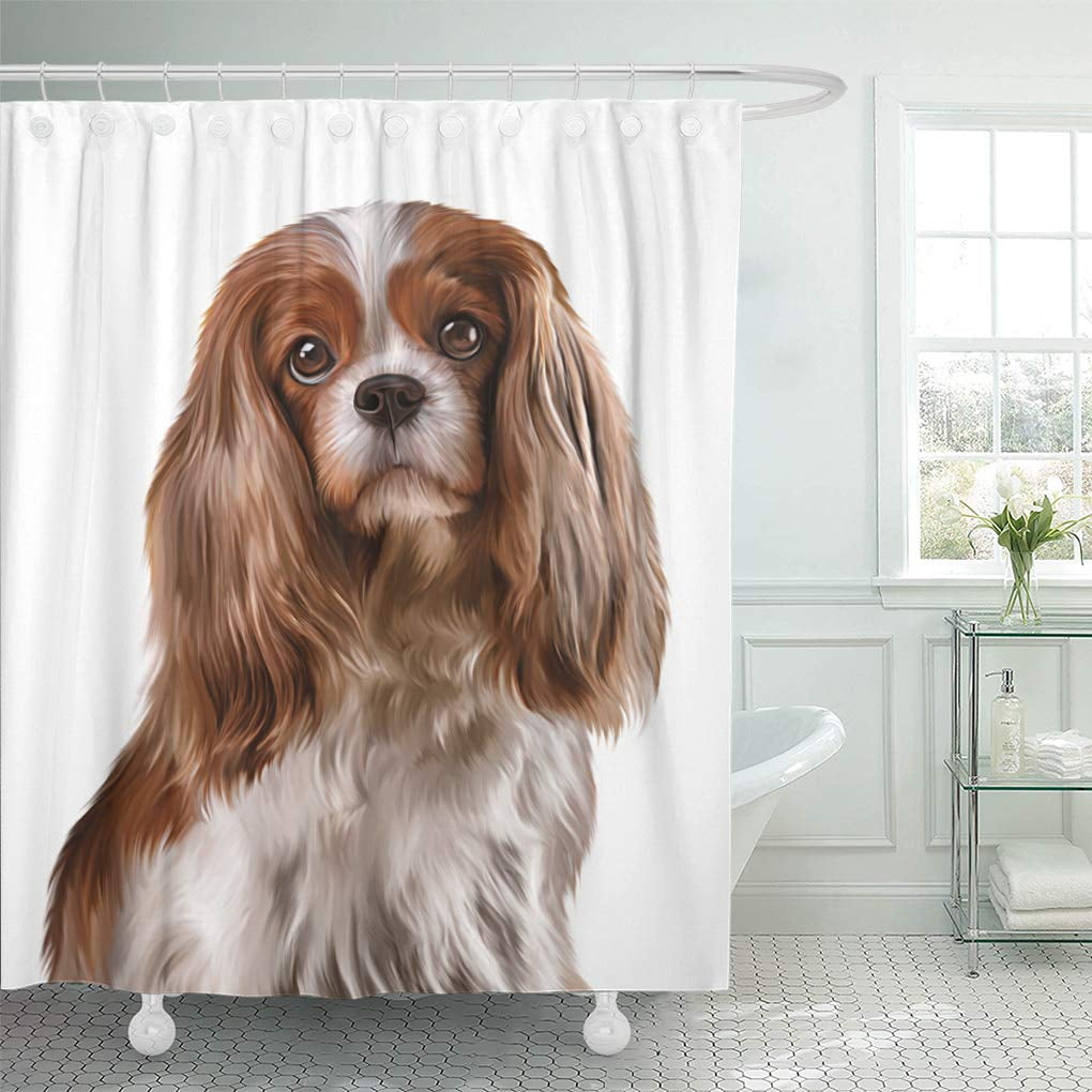 Cavalier king Charles Dog Bathroom Waterproof Fabric Shower Curtain & 12 Hooks 