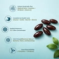 thumbnail image 5 of Wormwood Black Walnut Clove Cleanse for Humans Softgels Supplement w/ 7 Oils & 7 Enzymes, 20-in-1 Formula for Gut Cleanse & Digestive Support, 120 Count by Lukaree, 5 of 7