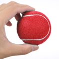 thumbnail image 2 of 12 Packs Pressure Matching and Training Tennis Balls, 2 of 7