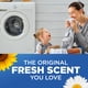thumbnail image 5 of Detergente Líquido para Ropa Arm & Hammer Plus OxiClean Fresh 2x3L, 5 of 8