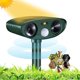 thumbnail image 1 of Repelente ultrasónico para gatos, exterminador de ratones con energía solar con sensor de movimiento, 1 of 5