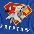 thumbnail image 2 of Superman 2025 Krypto Shield Graphic Tee For Men & Women, 2 of 6