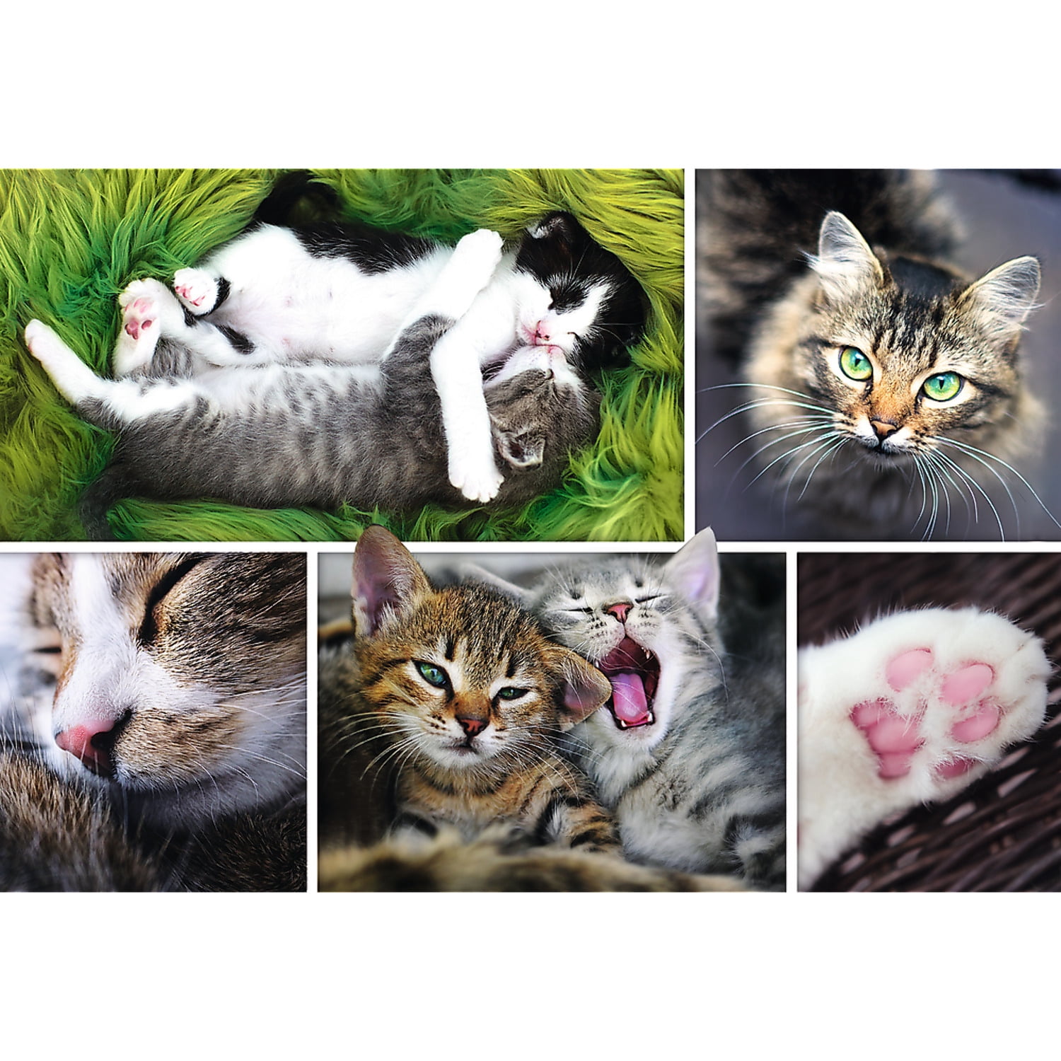 1500 Piece Jigsaw Puzzle, Just Cat Things Collage, Pets, Cats and Kittens, Animal Collage, Adult Puzzles, Trefl 26145