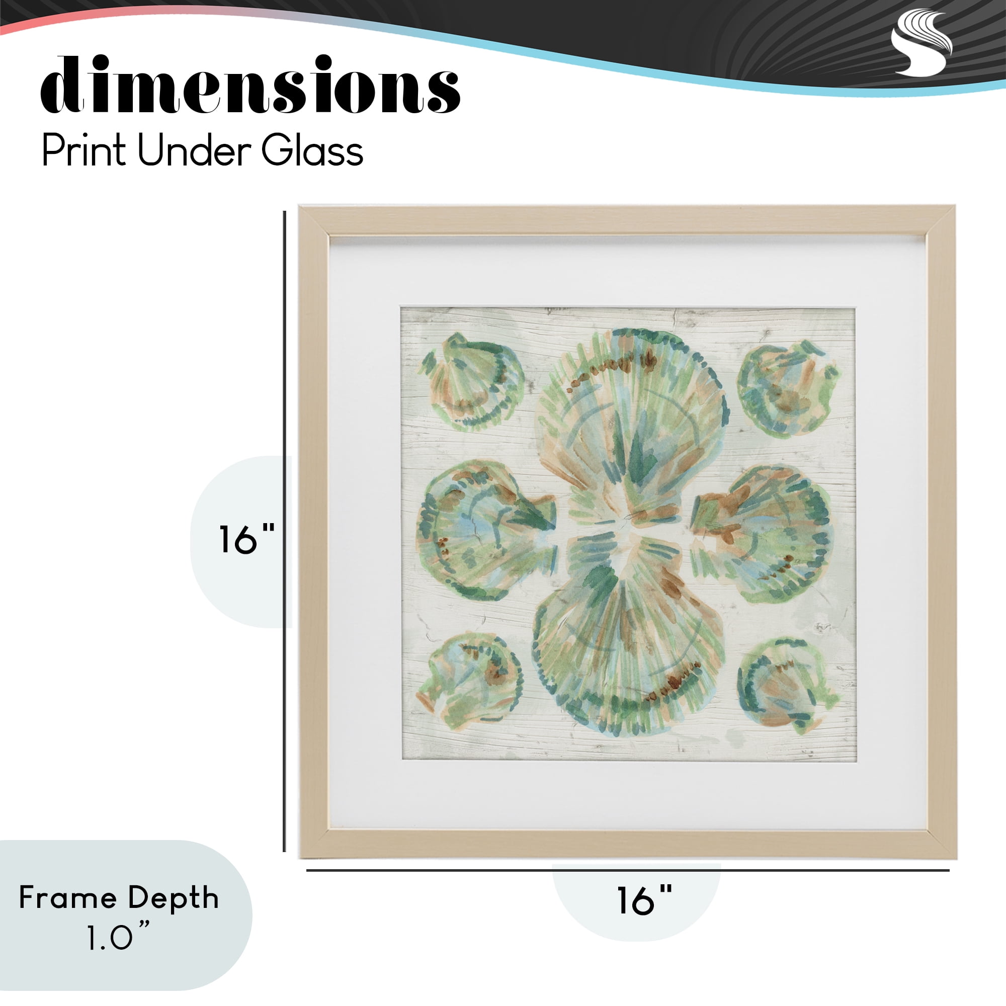 Stupell Industries Saltwashed Shells Symmetry Birch Framed Print Under Glass, design by June Erica Vess