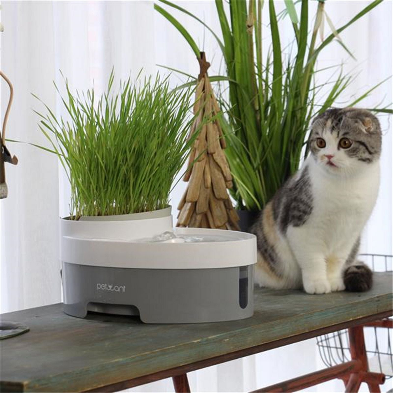 Myriann 105Oz/3.0L Automatic Cat Water Fountain Dog Water Dispenser with Food Bowl for Cats DogsGreat for Pet Owners with Busy Schedules