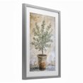 thumbnail image 2 of Stupell Industries Traditional Mediterranean Potted Olive Gray Framed Print Under Glass, 14 x 20, by Petals Prints Design, 2 of 8