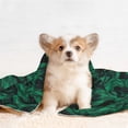 thumbnail image 4 of Pofeuu Mint Bird Feathers Print Puppy Blanket,Dog Blankets,Pet Blanket Cozy Cat Blankets for Indoor Cats, Fuzzy Pet Blanket for Kitten Doggy Dog Blankets-Medium, 4 of 8