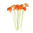 thumbnail image 1 of 10 piezas artificiale decoración , decoración DIY naranja Gloria Decoración de mesa de oficina en casa, 1 of 6