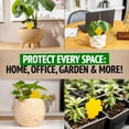 thumbnail image 7 of Fungus Gnat Traps - 60 Pack, Highly Effective Gnat Traps for House Indoor, Yellow Sticky Trap for Plants, Non-Toxic & Nature-Friendly, Up to 3 Months, 7 of 7