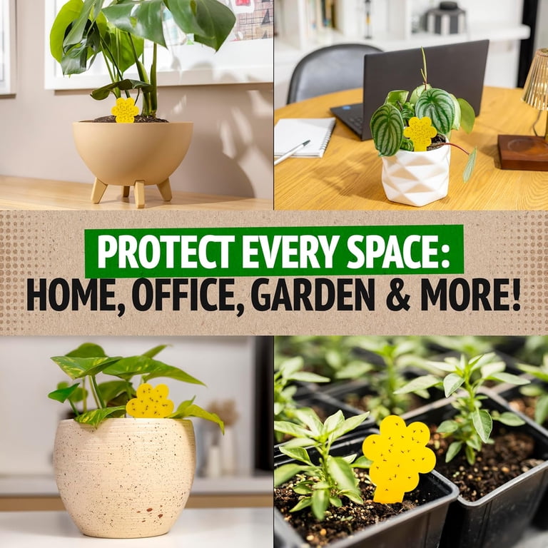 Super Ninja Fungus Gnat Traps 30 Pack, Highly Effective Gnat Traps for House Indoor, Yellow Sticky Trap for Plants, No