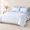 Light Blue-Full, variant on Pink Queen Size 3 Piece Floral Shabby Chic Coquette Bedding Comforter Set