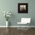 thumbnail image 3 of Trademark Fine Art "Florison 48" Canvas Art by Alan Blaustein, Black Matte, Wood Frame, 3 of 4