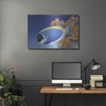 thumbnail image 5 of Luxe Metal Art 'Powder Blue Tang' by Durwood Coffey, Metal Wall Art, 36"x24", 5 of 9