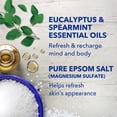 thumbnail image 6 of Dr Teal's Body Wash Relax and Relief with Eucalyptus Spearmint, 24 fl oz, 6 of 11