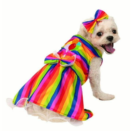 Rainbow Female Pet Bright Party Dress Halloween
