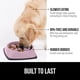 thumbnail image 2 of Slow Feeder Bowl Gorilla Grip, 100% libre de BPA, para gatos y perros, 2 of 9