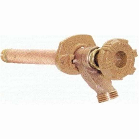 Woodford 14CP-12-MH Freezeless Wall Faucet