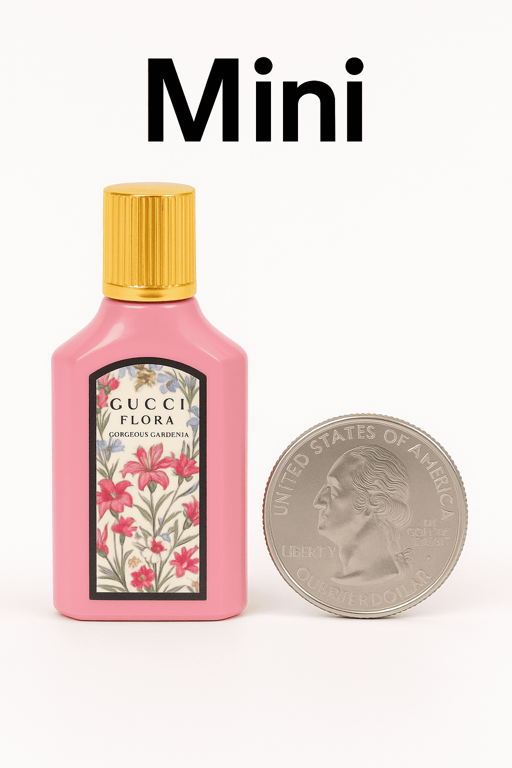 c77a9d81-7ea2-492a-866e-