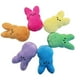 thumbnail image 2 of Set de Peluches Mini Conejitos Peeps, Paquete Múltiple de Colores Surtidos, para Rellenar Huevos de Pascua y Calcetines (6Pcs#B), 2 of 8