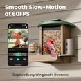 thumbnail image 6 of Birdfy Smart Bird Feeder with Camera, 1080P HD Bird Feeder Camera with AI Bird Identification, Solar Powered, Motion Detection & Real-Time Alerts, Suet Ball Holder for Outdoor Birdwatching, 6 of 9