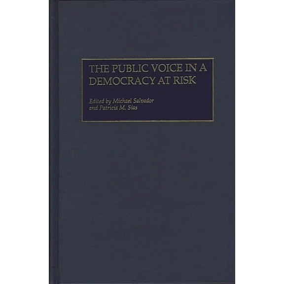 The Public Voice in a Democracy at Risk, (Hardcover)