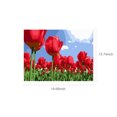 thumbnail image 3 of 16 x 20 pulgadas DIY Pintura al óleo sobre lienzo Kit de pintura por número Hermoso patrón de flores Abanopi Tipo 3, 3 of 7
