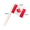 Zhuitw Wooden Sandwich Toothpicks Mini Paper National Flag for Bar