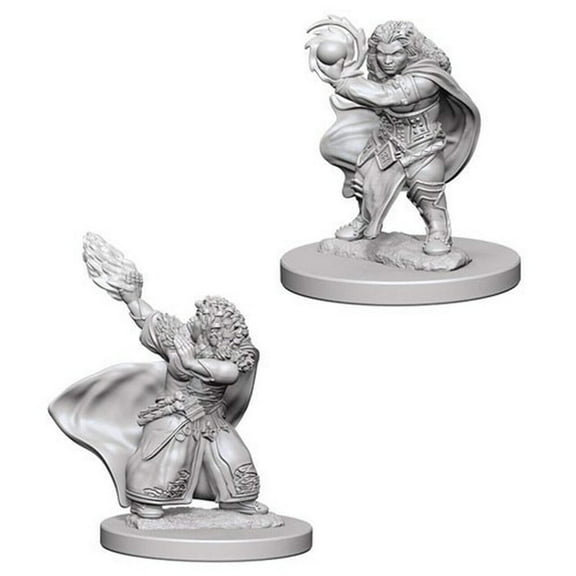 Nolzur's Marvelous Miniatures: Female Dwarf Wizard