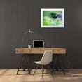 thumbnail image 3 of Liang, Ken 32x26 White Modern Wood Framed Museum Art Print Titled - Black Bird Flying Over Lotus Seed Pod, 3 of 4