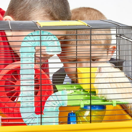 AURARMLET 1Set Hamster Cage External Tube in Green for Rat and Guinea Pig Cage Connector