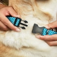 thumbnail image 2 of Disney Pet Collar, Dog Collar Plastic Buckle, Minnie Mouse Dots Blue Black White, 13 to 17 Inches 1.5 Inch Wide, 2 of 6
