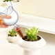 thumbnail image 1 of Sistema de riego automático para plantas con diseño de pájaros cantores, riego por goteo, maceta inteligente sin riego, sistema de autorriego fácil, ideal para oficina, estructura metálica,, 1 of 9
