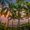 Corcovado Sunset Beach, variant on Elephant Stock Palm Tree Beach Sunset Wall Art - Horizontal Canvas Wall Art - Living Room Wall Decor - Beach Canvas - Black And Brown Decor - 12" x 8"